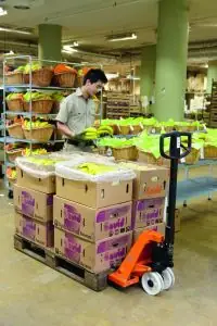 Bt-lifter-lhm230nylonstuurwielen lo